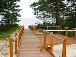 Boardwalk to the beach