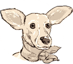 Shuli, Air-Freelance's Eternal Mascot